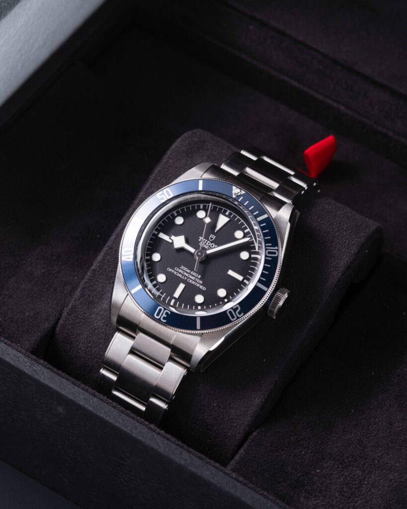 Tudor Black Bay 79230B 2022