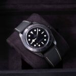 Tudor Black Bay 79210CNU 2022