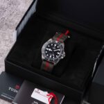 Tudor Pelagos 25717N 2024