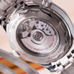 Omega Seamaster Professional 210.30.42.20.01.001 2025