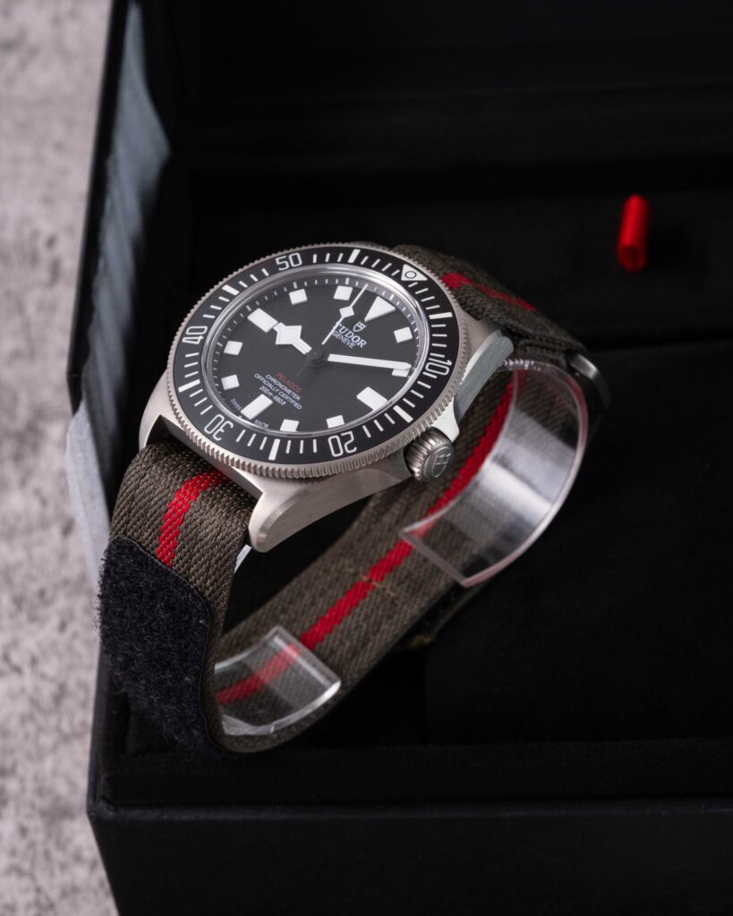 Tudor Pelagos 25717N 2024