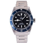 Tudor Black Bay 79230B 2022