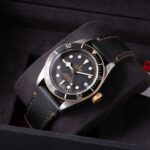 Tudor Black Bay 79733N 2022
