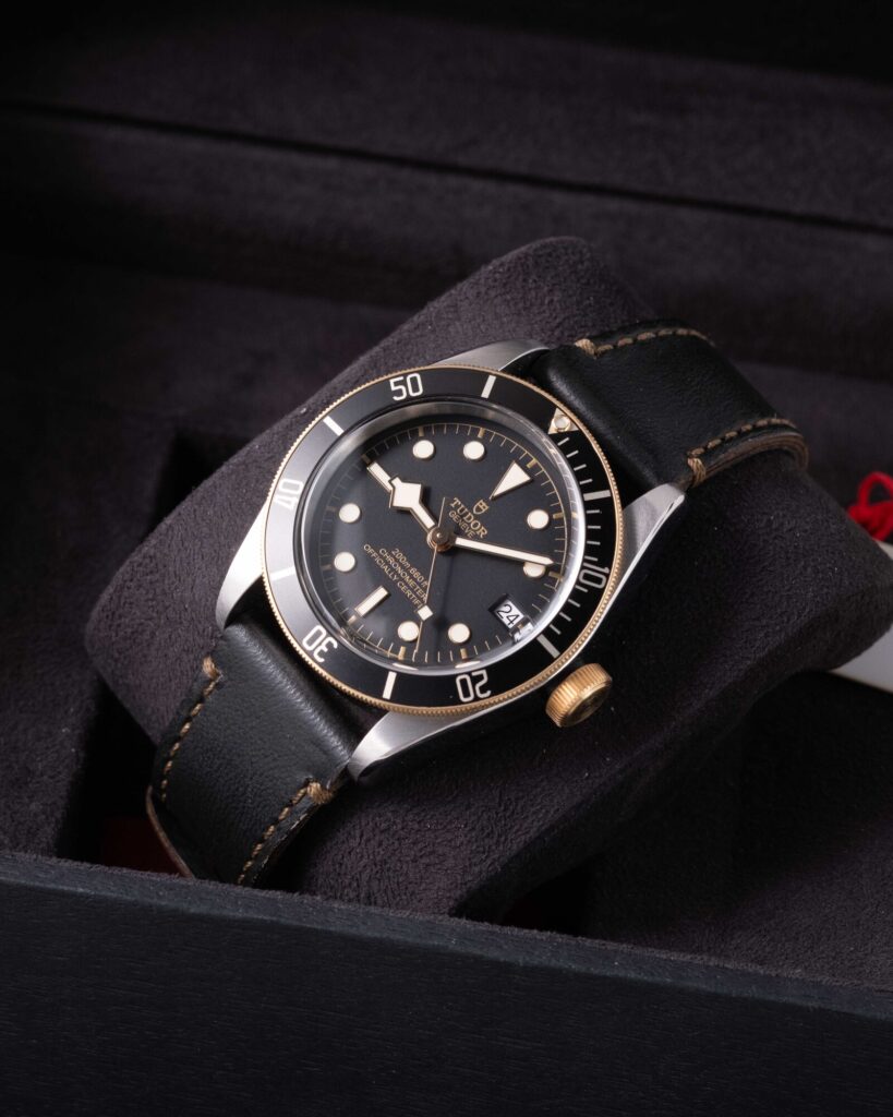 Tudor Black Bay 79733N 2022