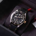 Tudor Black Bay 79733N 2022
