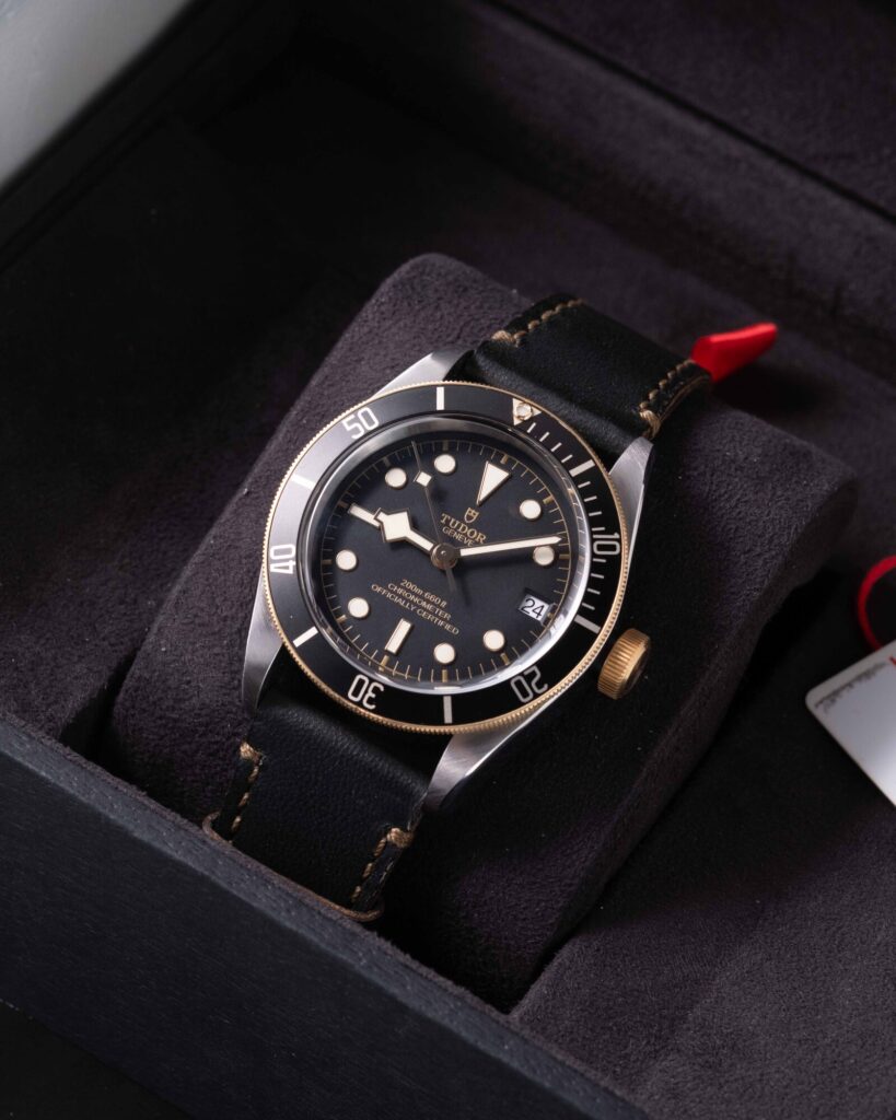 Tudor Black Bay 79733N 2022
