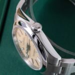 Rolex Oyster Perpetual 134300 2026