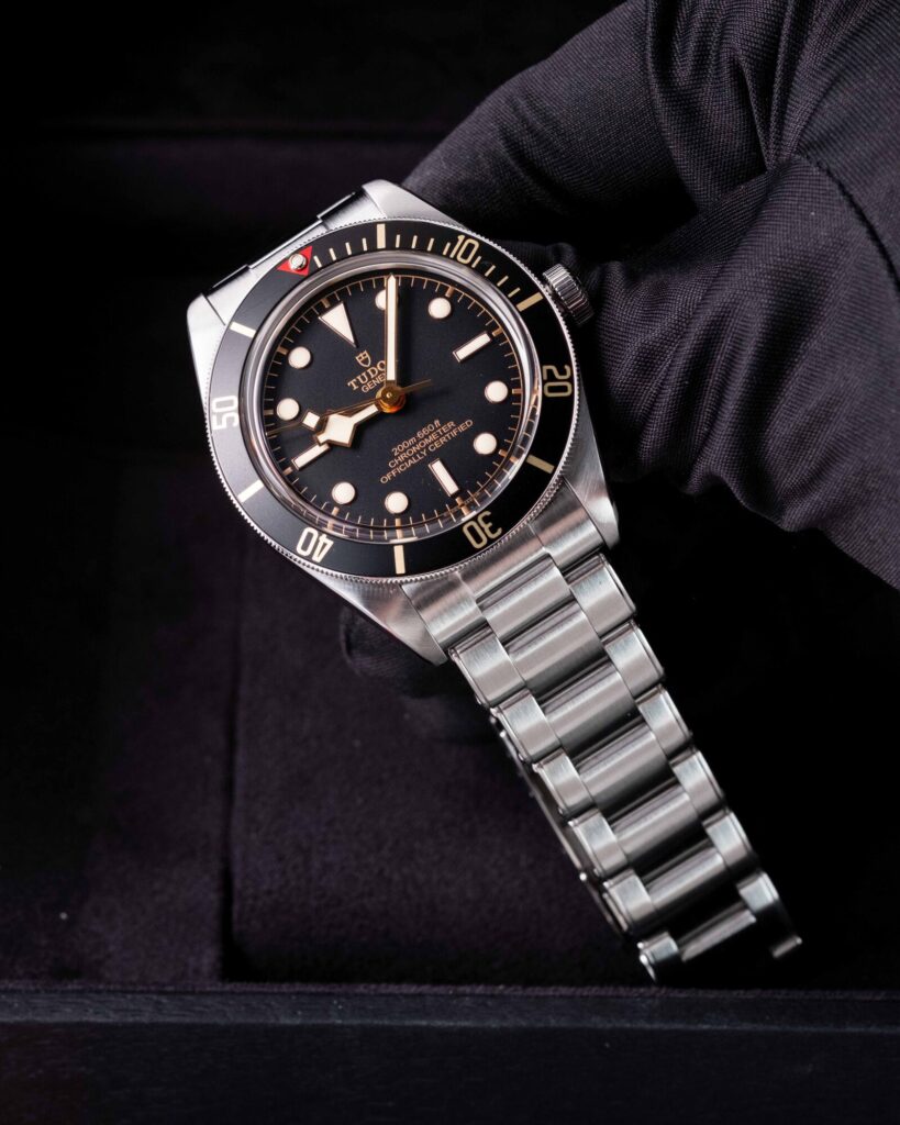 Tudor Black Bay 58 79030N 2019