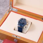 Omega Seamaster Diver 300M 210.20.44.51.03.001 2021