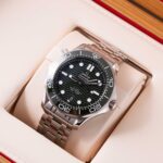 Omega Seamaster Professional 210.30.42.20.10.001 2026