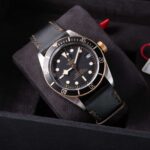 Tudor Black Bay 79733N 2022