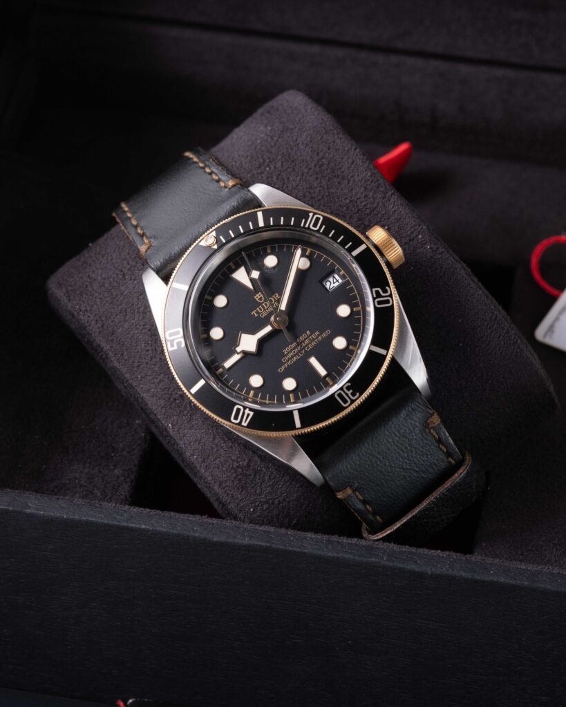 Tudor Black Bay 79733N 2022