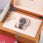 Omega Diver 300M 210.30.42.20.06.002 2024