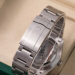 Rolex Oyster Perpetual 134300 2026
