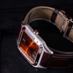 Cartier Santos WGSA0113 2025
