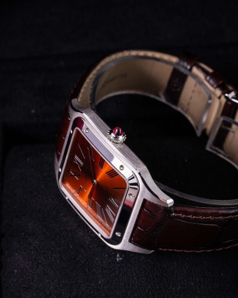 Cartier Santos WGSA0113 2025