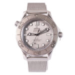 Omega Diver 300M 210.30.42.20.06.002 2024