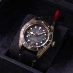 Tudor Black Bay 79250BA 2022