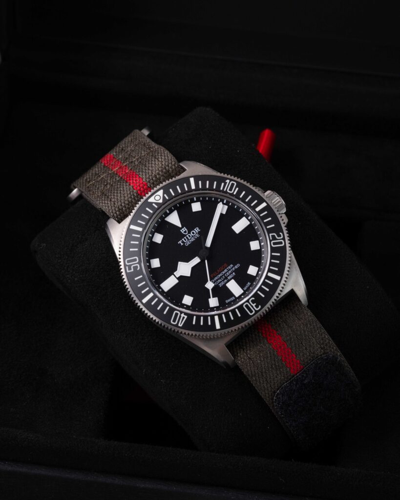 Tudor Pelagos 25717N 2024
