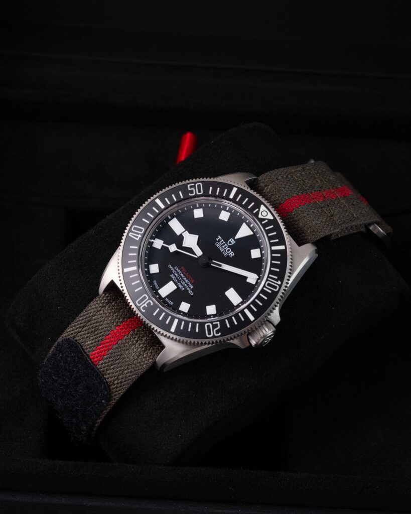 Tudor Pelagos 25717N 2024