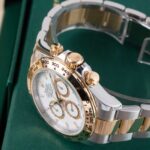 Rolex Daytona 126503 2026