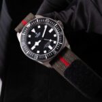 Tudor Pelagos 25717N 2024