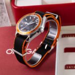 Omega Seamaster Planet Ocean 29095082 2012