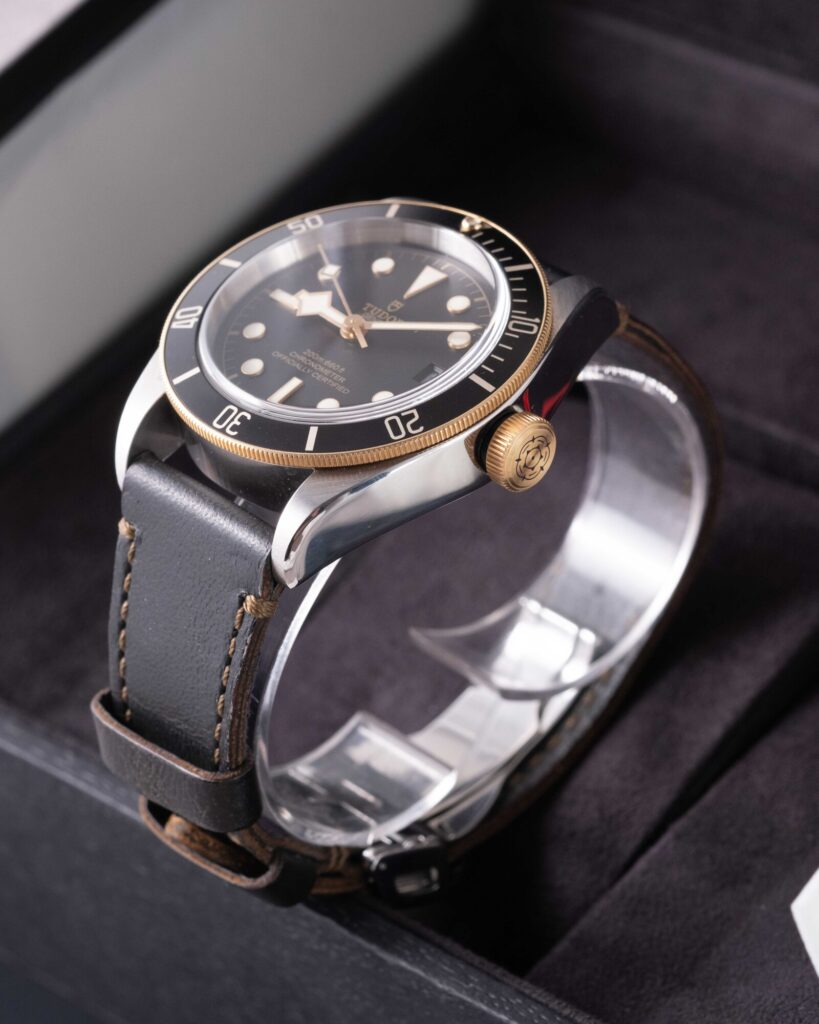 Tudor Black Bay 79733N 2022
