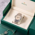 Rolex Oyster Perpetual 134300 2026