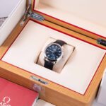 Omega Sea Master 220.13.41.21.03.003 2022