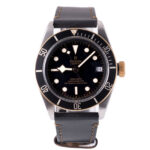 Tudor Black Bay 79733N 2022