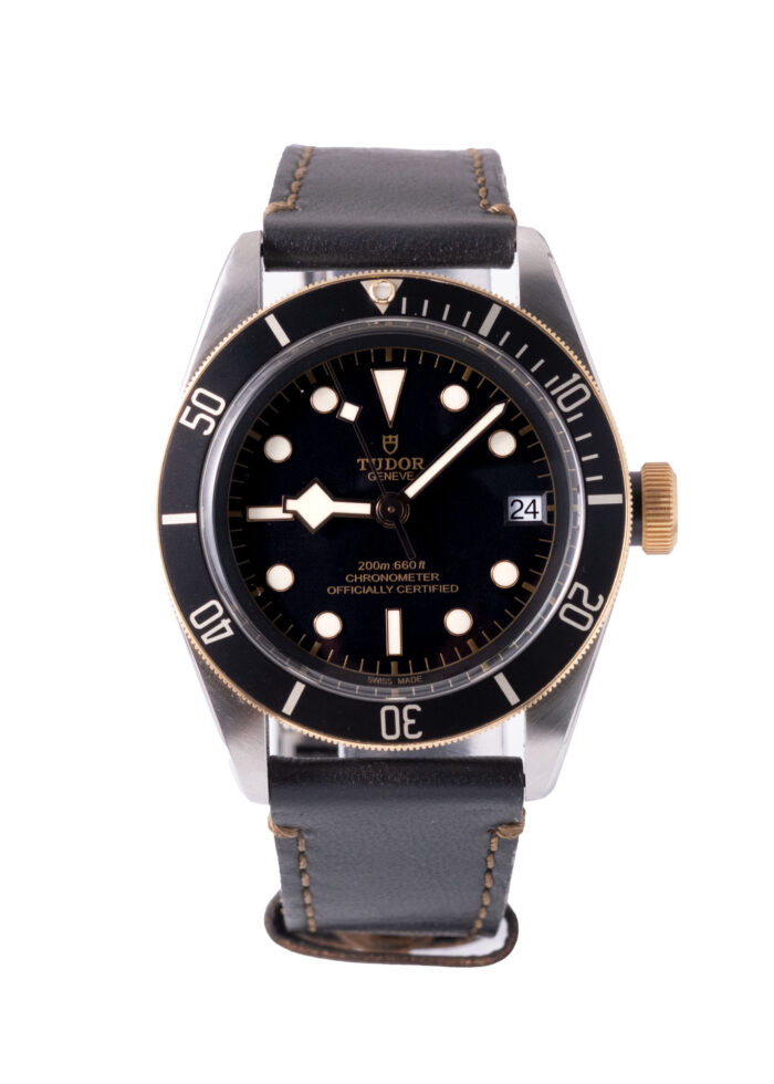 Tudor Black Bay 79733N 2022