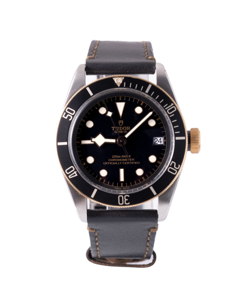 Tudor Black Bay 79733N 2022
