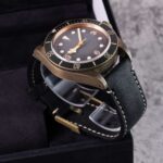 Tudor Black Bay 79250BA 2022