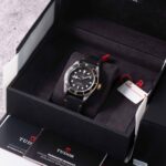 Tudor Black Bay 79733N 2022