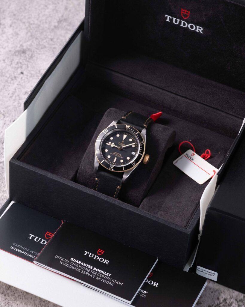 Tudor Black Bay 79733N 2022