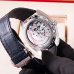 Omega Sea Master 220.13.41.21.03.003 2022