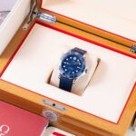 Omega Omega Seamaster Diver 300M 210.32.42.20.03.001 2024