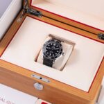 Omega Seamaster Diver 300M 210.32.42.20.01.003 2026