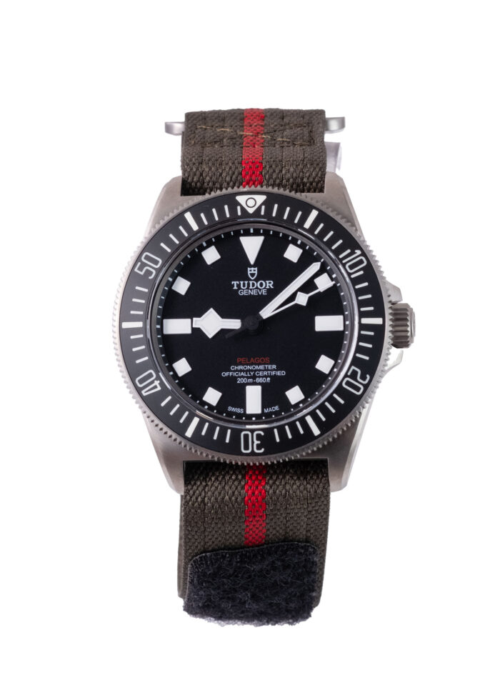 Tudor Pelagos 25717N 2024