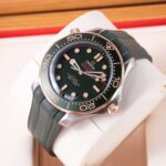 Omega Seamaster 210.92.42.20.10.001 2026