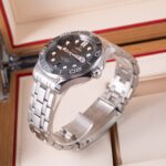 Omega Seamaster  210.30.42.20.01.001 2023