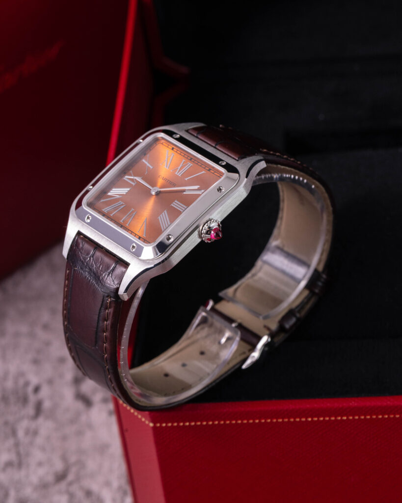 Cartier Santos WGSA0113 2025