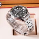 Omega Seamaster Professional 210.30.42.20.01.001 2025