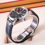 Omega Sea Master 220.13.41.21.03.003 2022