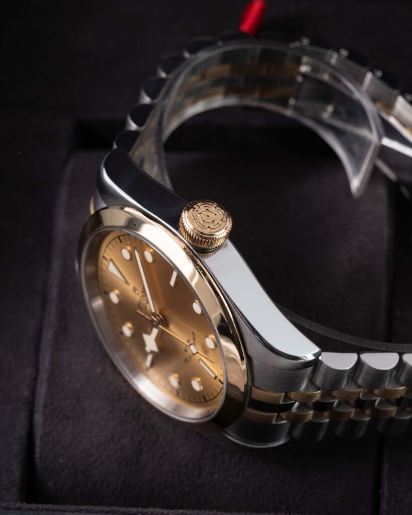 Tudor Black Bay 41 79543 2019