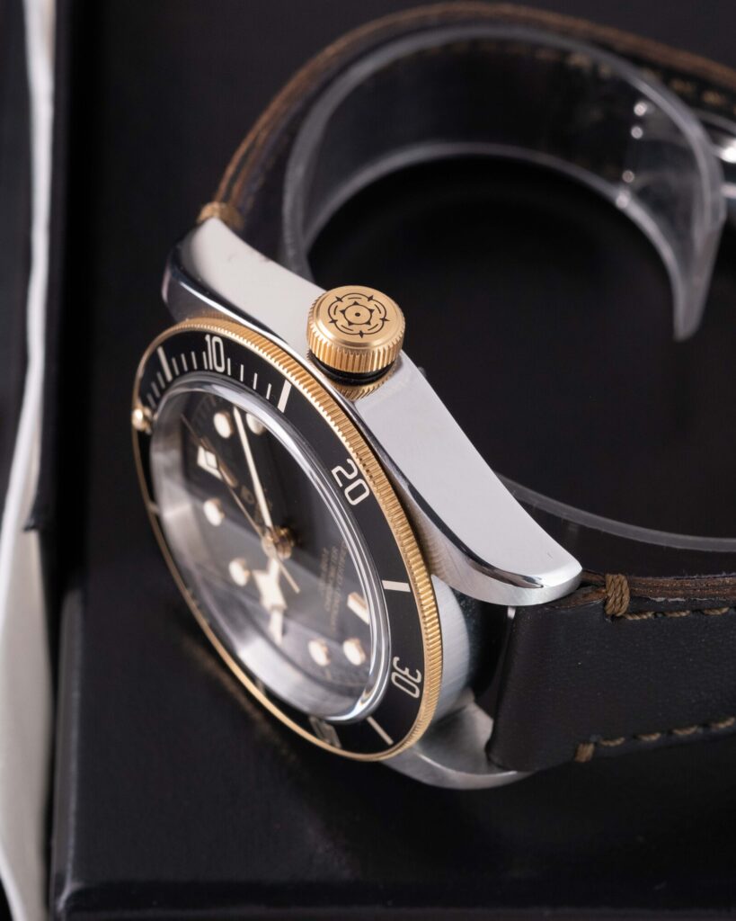 Tudor Black Bay 79733N 2022