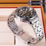 Omega Seamaster Diver 300M 210.30.42.20.10.001 2025