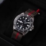 Tudor Pelagos 25717N 2024
