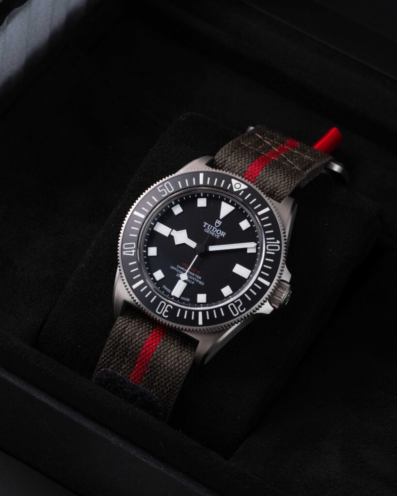 Tudor Pelagos 25717N 2024